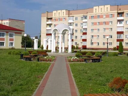 Хойники
