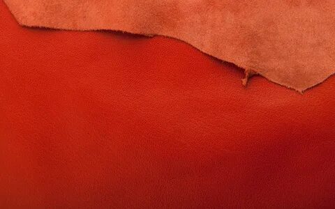 Red leather