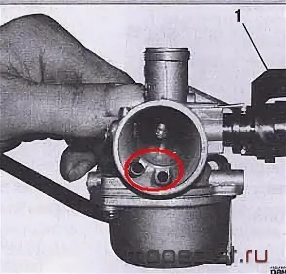 Настройка карбюратора на мопеде альфа. Карбюратор Альфа 110 кубов внутри. Карбюратор 72 кубов. Карбюратор 6 Альфа 72 Куба винты регулировки. Карбюратор Альфа 50 кубов.