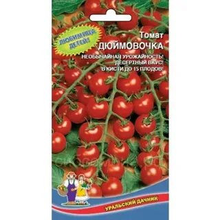 Дюймовочка томат описание