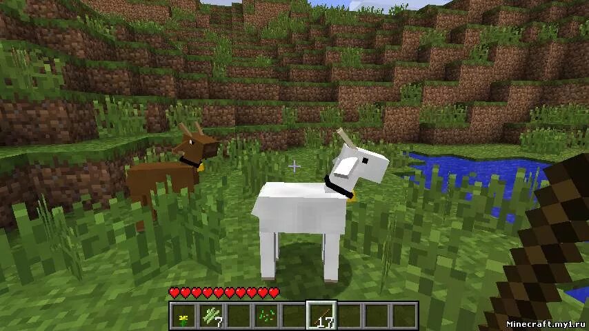 Мод майнкрафт 1 20 1 животные. Коза в МАЙНКРАФТЕ. Мод на коз. Животные в МАЙНКРАФТЕ. Животные из МАЙНКРАФТА.
