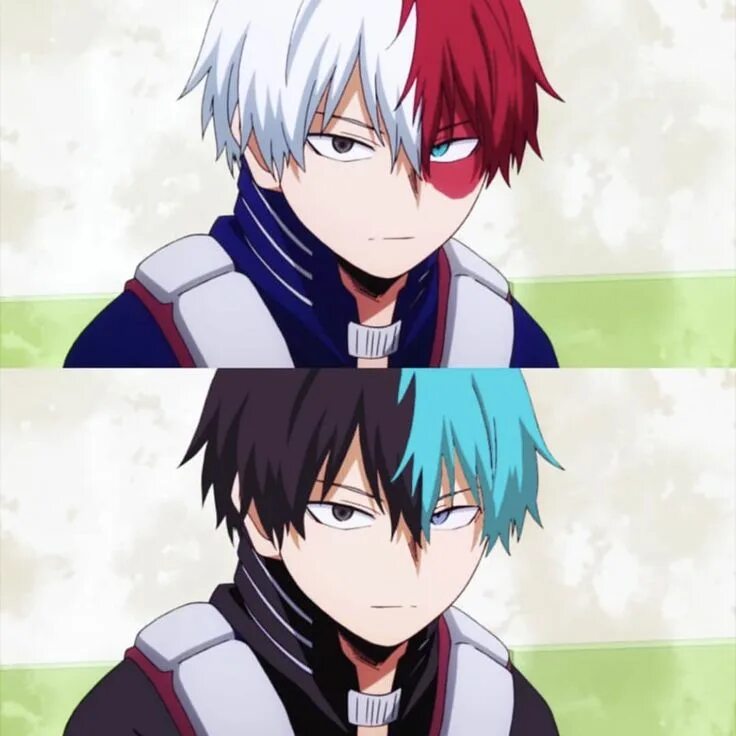 Todoroki reader