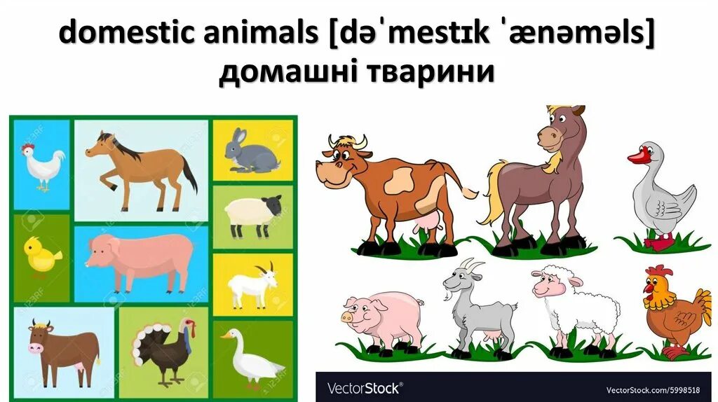 Domestic перевод на русский. Domestic перевод. Domestic animals flashcards. Domestic animals. Domestic перевод на русский.