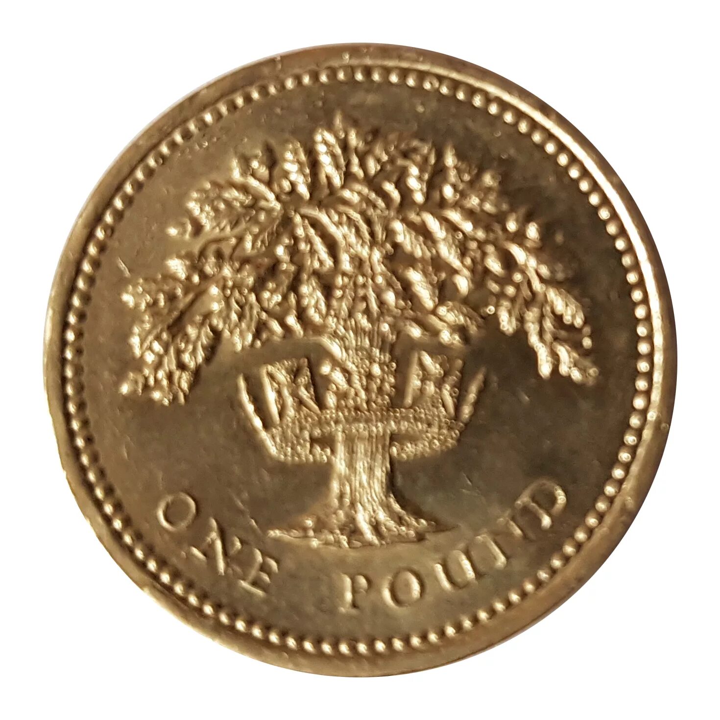 First coins. Монета Elizabeth 2 one pound. Монета one pound Elizabeth. Монета Элизабет 2 1992.