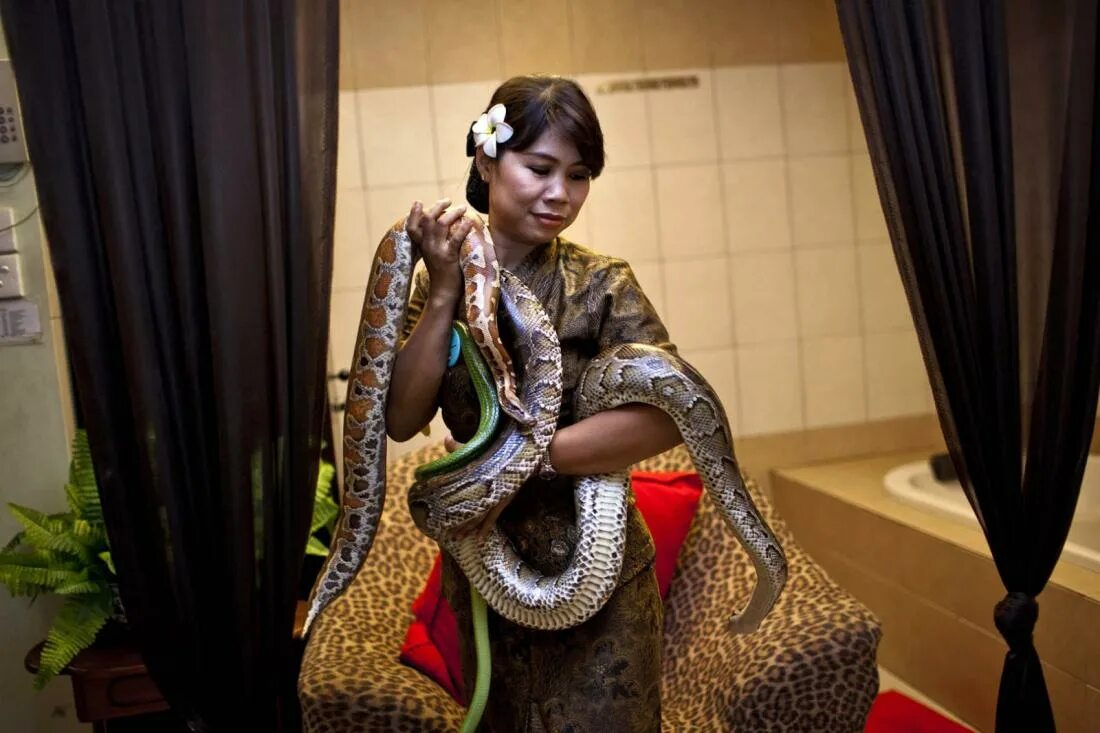 Девушка питона. Фотосессия со змеями.
