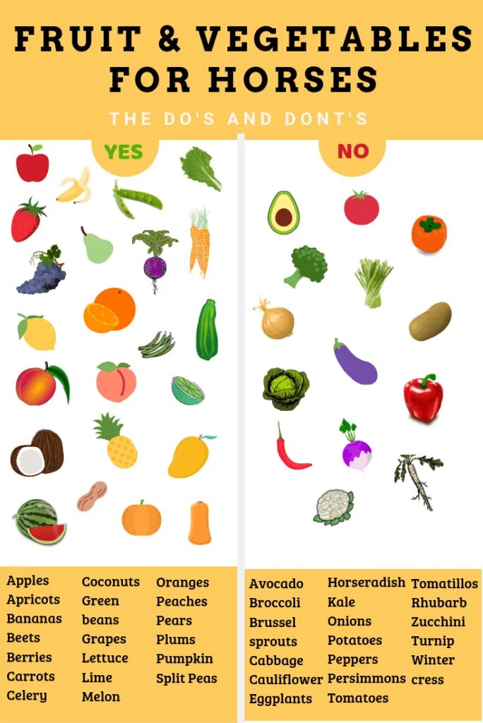 Какие фрукты можно лошадям. Какие фрукты и овощи можно. Какие овощи можно давать лошадям. Какие овощи и фрукты можно есть. Какие овощи на гв