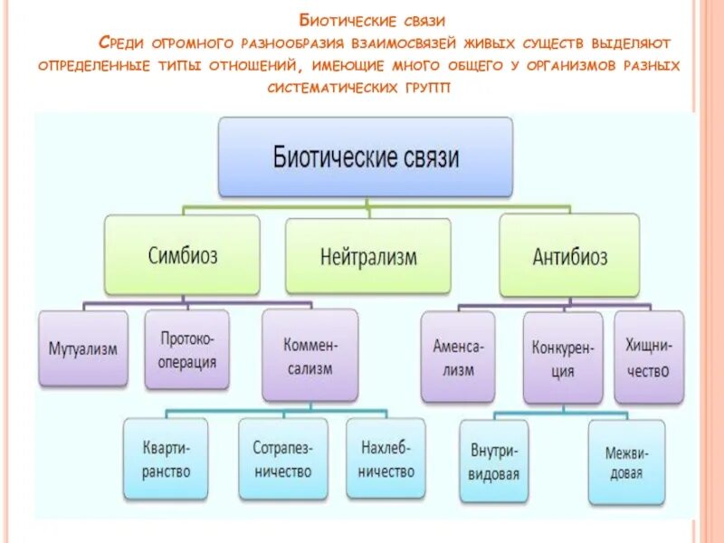 Какие биотические связи. Биотические связи. Биотические взаимоотношения организмов. Формы взаимоотношений между организмами. Типы биотических взаимоотношений.