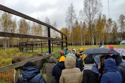 Форум лосиный остров