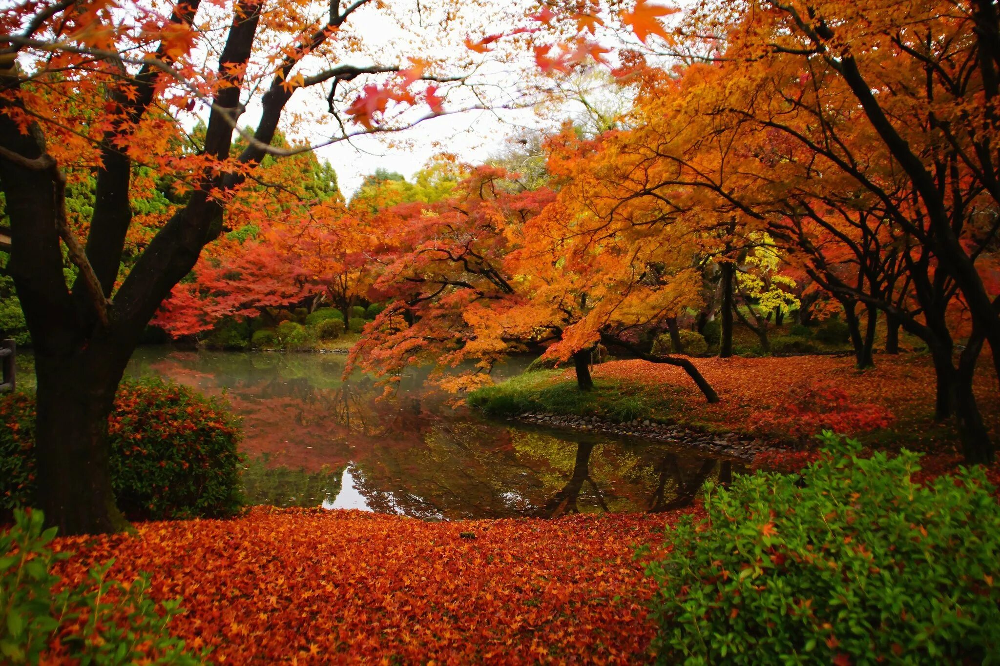 Времена года 5 октября. Красивая осень. Осень прекрасная пора. Времена года осень. Красивые осенние виды.