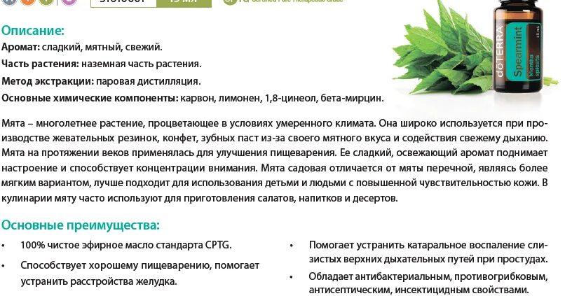 Помогает ли ментол