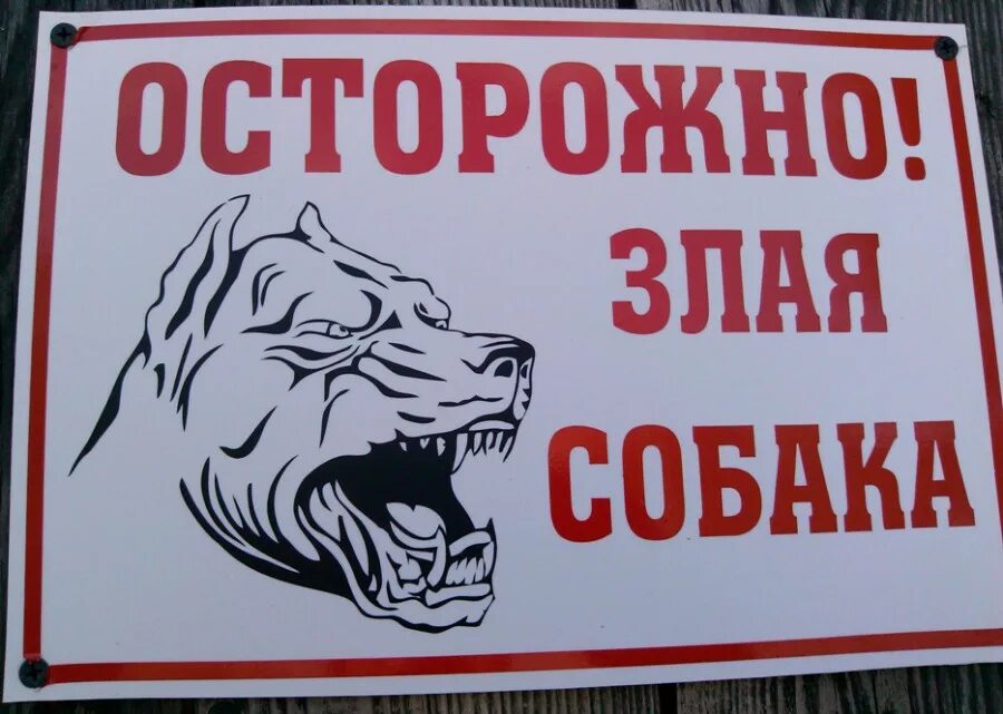 Злая собака предложение. Осторожно, злая собака!. табличка злая собака прикольная. злая собака картинки.