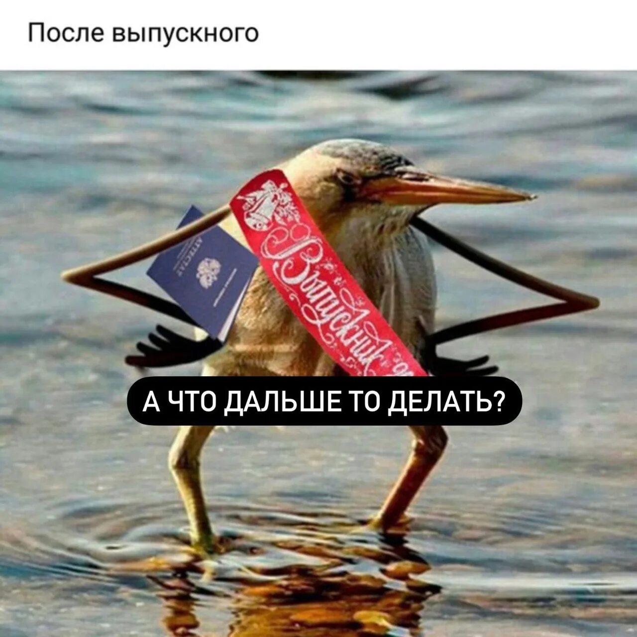 После выпускного слова