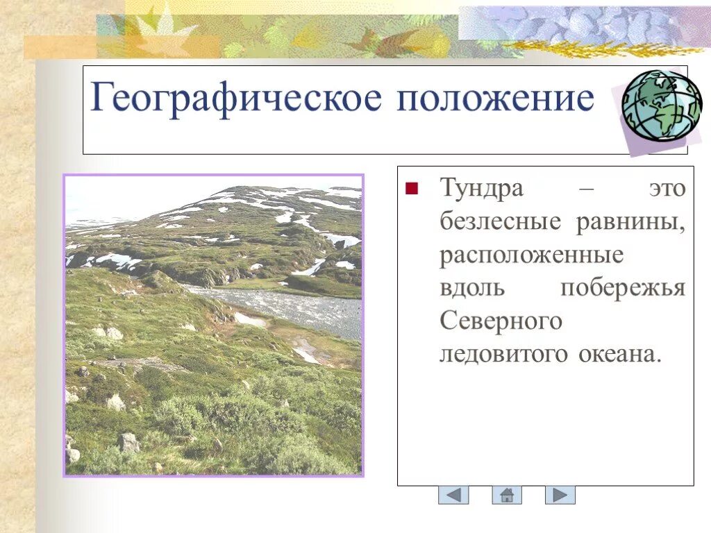 Тундра относительно морей и океанов. Положение зоны тундры. Тундра географии положение. Природная зона тундра географическое положение. Географичесоеположение тудры.