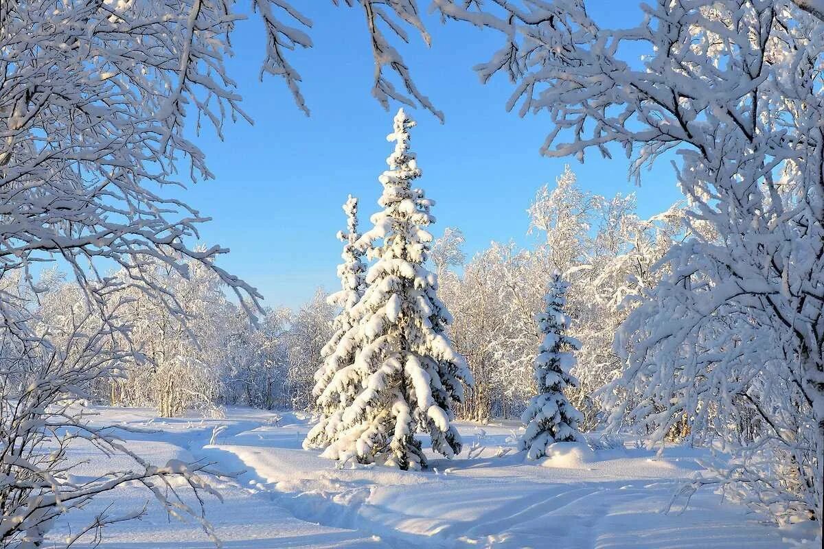 Красивые зимние картинки. Зимний пейзаж. Красивая зима. Красивые пейзажи зимы. Красивый Хи ний пейзаж.