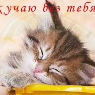 Видео скучаю без тебя