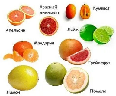 Цитрусовые фрукты названия на русском