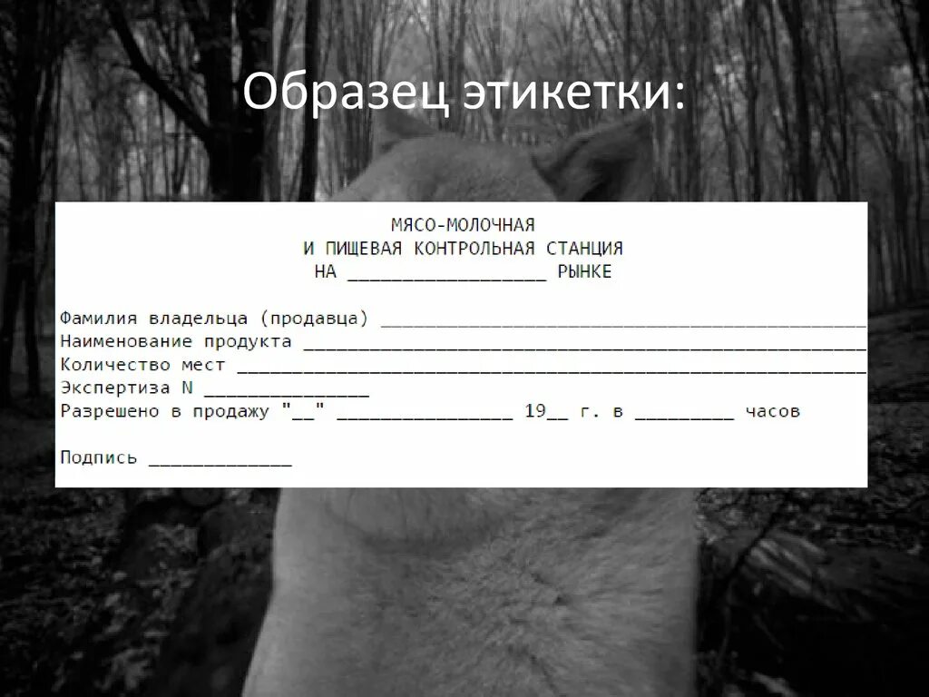 Этикетки для трав. Конкурс этикеток. Этикетка пищевой продукции. Продэкстрапак. Современные этикетки.