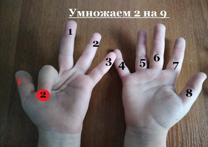 6 умножить на 9 54. Умножение на руках. Умножение на пальцах. Таблица умножения на пальцах. Умножение на 9 на пальцах.