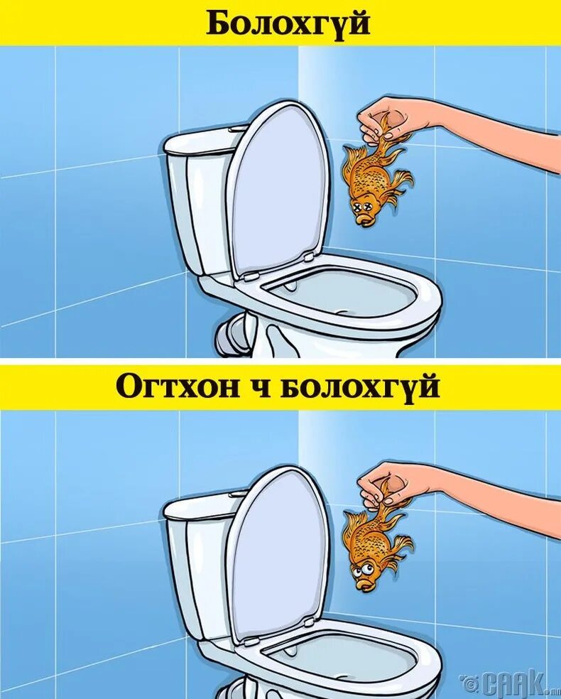 Можно ли клеща смыть в унитаз. Унитаз. запрещено выбрасывать в унитаз. что нельзя бросать в унитаз.