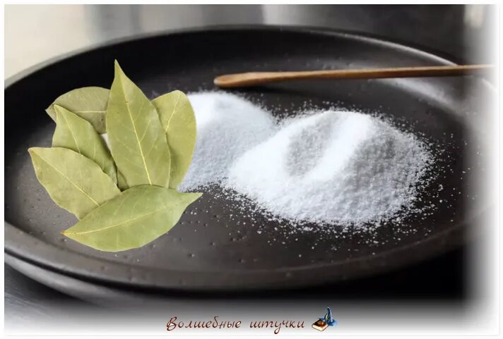 Лавровый лист окуривание. Соль, сахар, черный перец молотый. Лаврушка. Лавровый лист соль. Соль сахар перец.