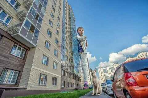 Новое внуково москва отзывы