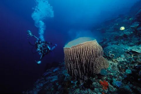 Пролив в красном море название