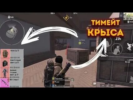 Ради 6