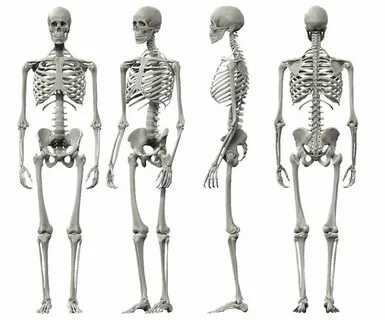 Human side