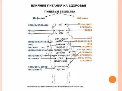 Влияние питания на организм человека