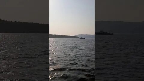 Перед леной
