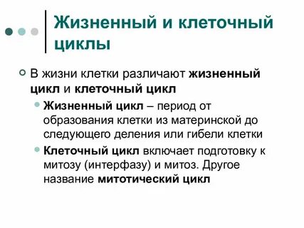 Жизненный цикл ткани