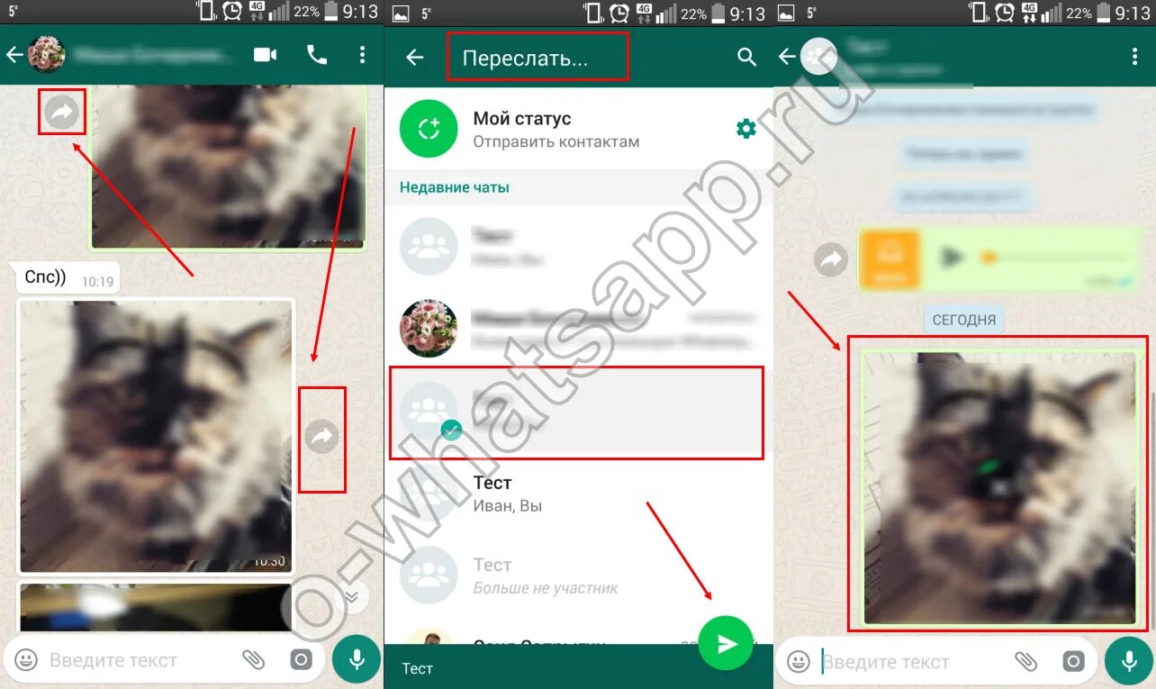 Как переслать сообщение из whatsapp. Как переслать фото. Пересланное сообщение в ватсап. Как отправить в ватсапе сообще. Как переслать фото по ватсапу.