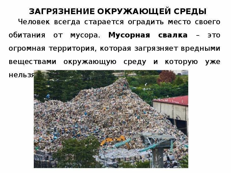 Воздействие отходов производства на окружающую среду. Влияние мусора на окружающую среду. Влияние отходов на окружающую среду и человека. Влияние мусора на человека и окружающую среду. Влияние мусорных свалок на окружающую среду.