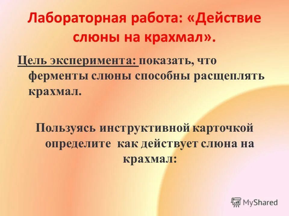 Исследование действие слюны на крахмал