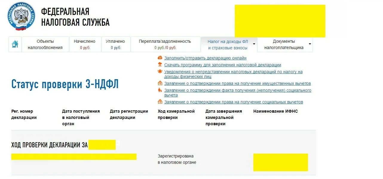 Налоговая статус введено что означает. Статус камеральной проверки. Статусы налоговой декларации в личном кабинете. Проверка декларации налоговой. Декларация в личном кабинете проверена.