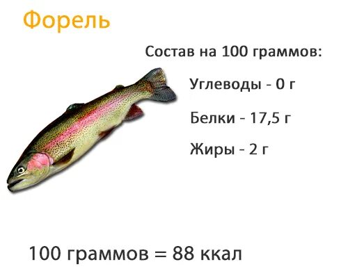 Рыба состав белки. Рыба красная форель 100 грамм. Форель белки жиры углеводы. Форель белок на 100 грамм. Форель энергетическая ценность.
