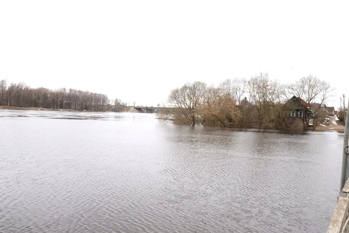 Вода в западной двине