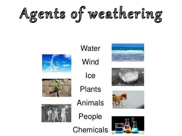 Causes weather