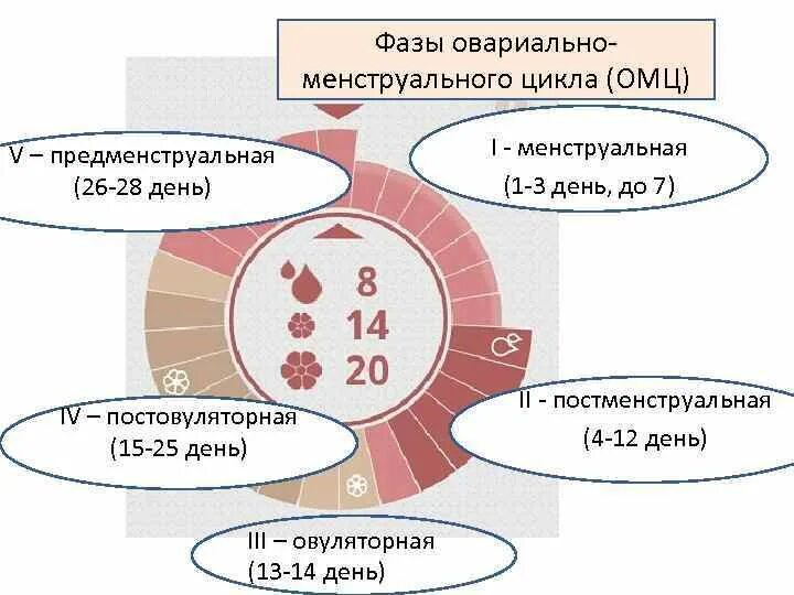 Уход за кожей по фазам цикла 