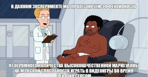 Протестить