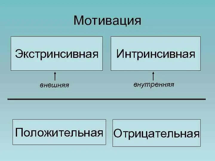 Внешнее побуждение. Экстринсивная мотивация это. Экстринсивные (внешние) мотивы. Внешняя положительная мотивация. Экстринсивные мотивы это.