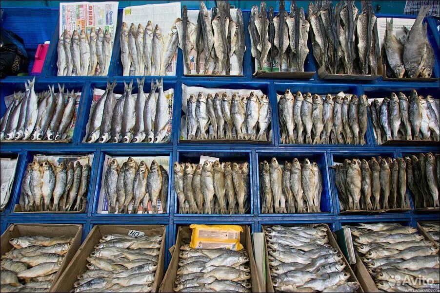 Где купить недорого рыбы. Селенские Исады. Рыбный рынок в Астрахани. Витрина для вяленой рыбы. Самая дешевая рыба в магазине.