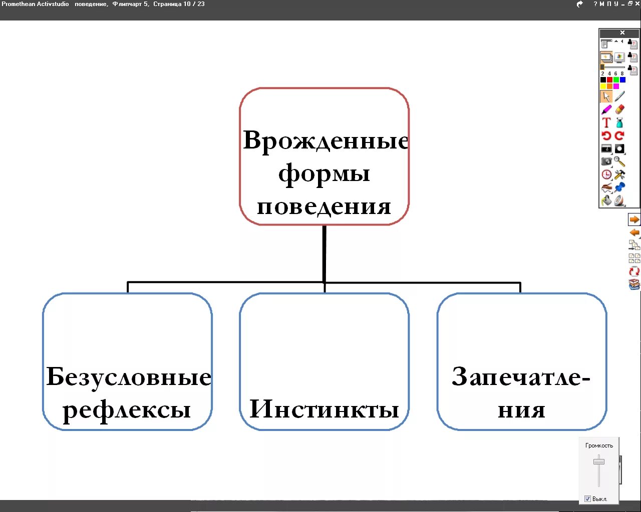 Формы поведения безусловный рефлекс. Врожденные формы поведения. Приобретённые формы поведения. Формы поведения схема. Врожденные формы поведения таблица. Врожденные формы поведения схема.