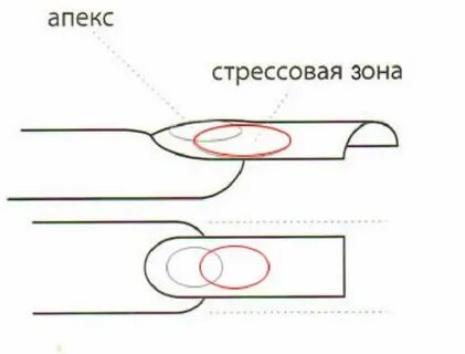 Схема опила формы ногтей