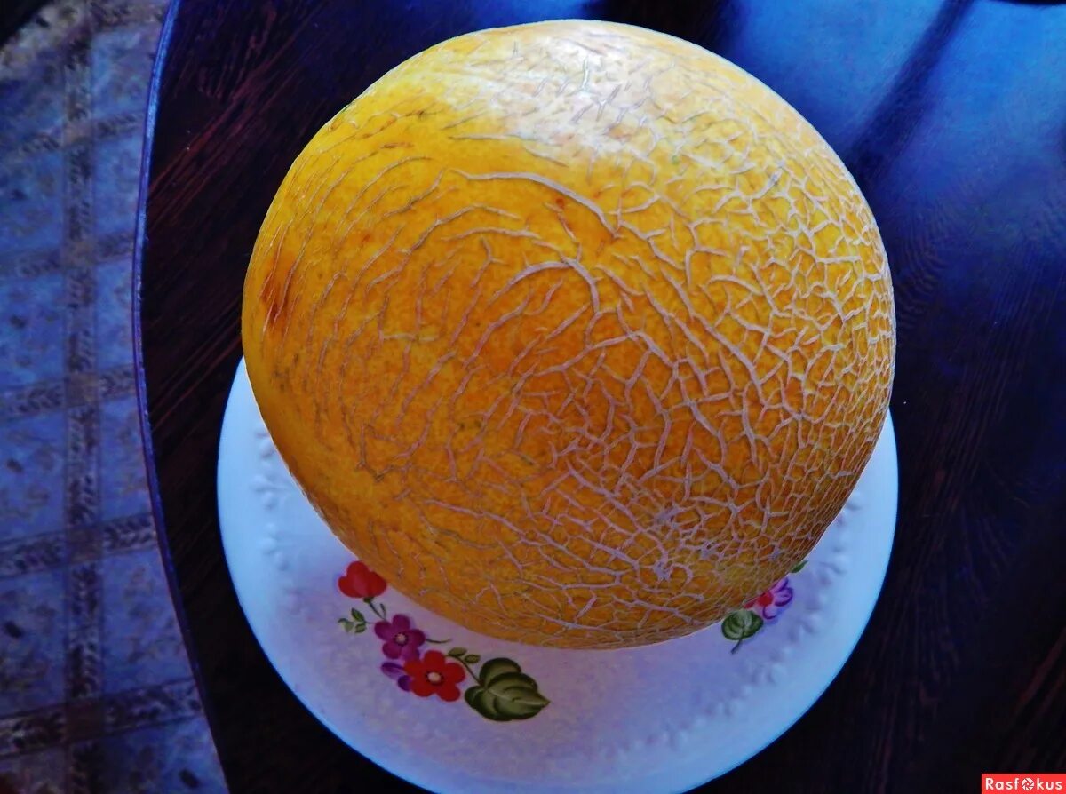 Дынный торт. Торт с дыней. Десерт из дыни. Торт дыня торт дыня торт дыня торт. Пирог из дыни.