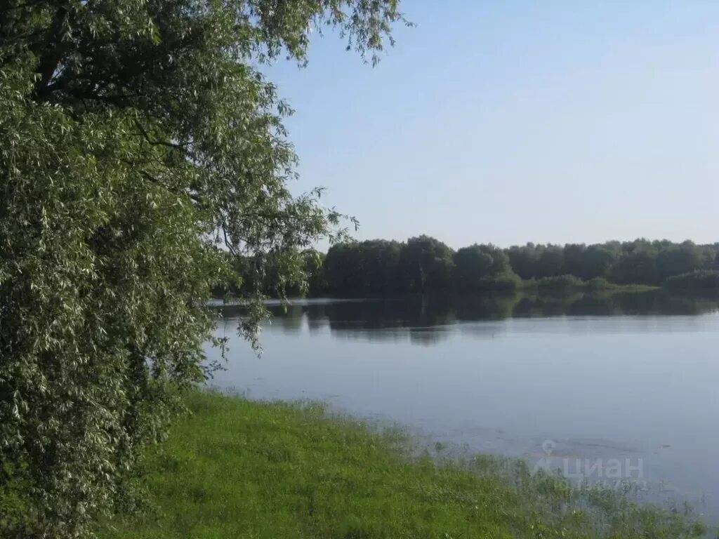 Деревня плашкино пермь. Деревня плашкино новгородской. Плашкино новгородская. С плашкино новгор обл. Новгородская обл.