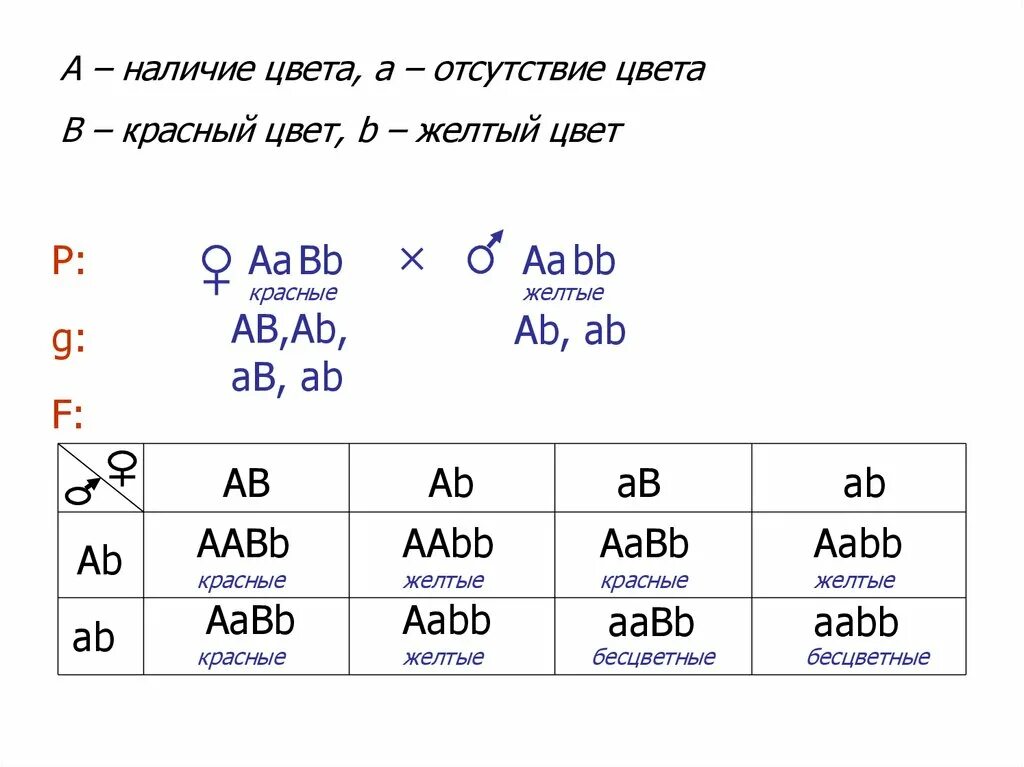 Гаметы генотипа aabb