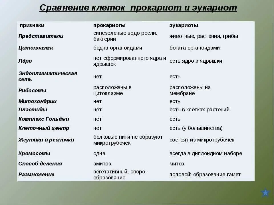 Сравнительная характеристика клеток прокариот и эукариот. Признаки сравнения прокариот и эукариот таблица. Сравнить клетки прокариот и эукариот таблица. Сравнение эукариотной и прокариотной клетки таблица.