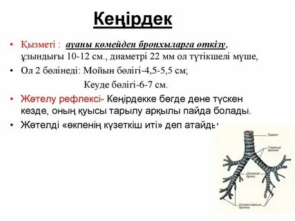 Ерлі-зайыптыларға арналған эротикалық фотосессиялар