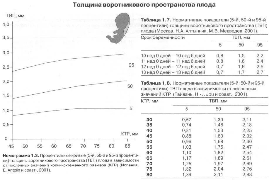 Норма шейной складки в 12 недель беременности норма таблица. Норма толщина воротникового пространства в 12 недель норма таблица. Толщина воротникового пространства в 13 недель норма. Толщина воротниковой зоны в 12 недель. Норма воротникового пространства в 13 недель